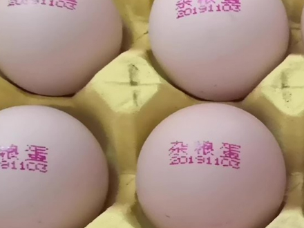 鸡蛋喷码机的选购